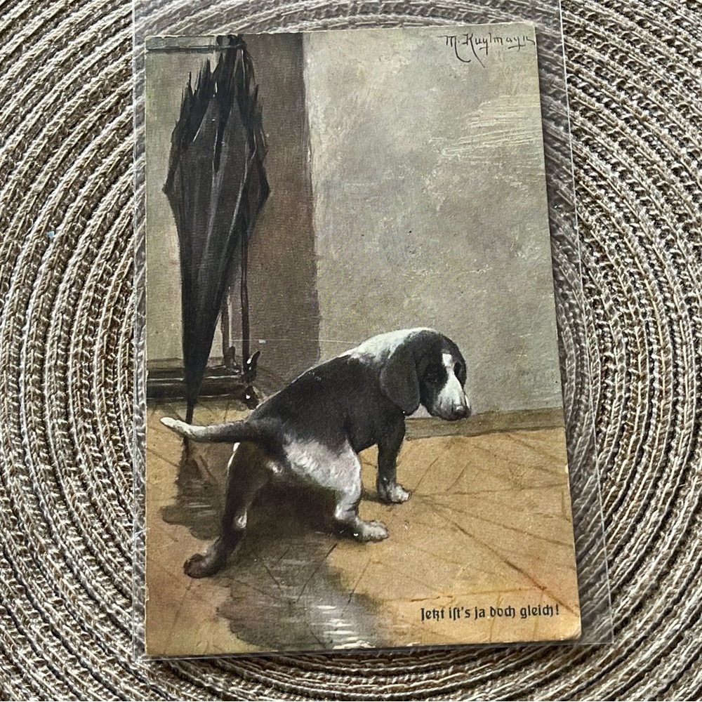 Max Kuglmayr Vintage German Postcard Dog Humor - No 3970- Card Unused w Sleeve